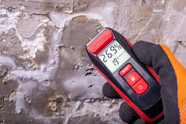 Best Fast Mold Removal  in Oak Ridge, NC