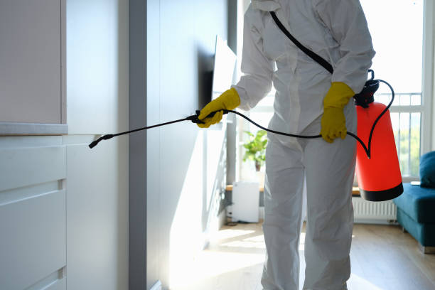 Best Commercial Mold Removal  in Oak Ridge, NC
