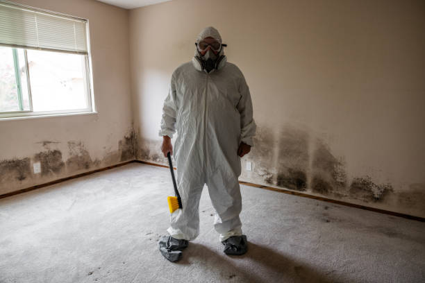 Professional Mold Removal in Oak Ridge, NC